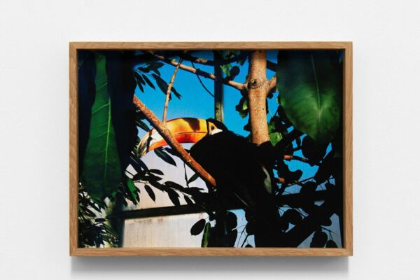 Inventar Nr.: 2019-III-I